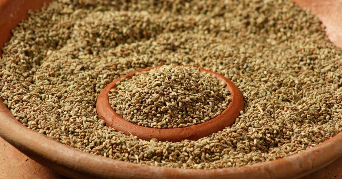 Carom Seeds: Digestive Aid & Health Benefits Explored